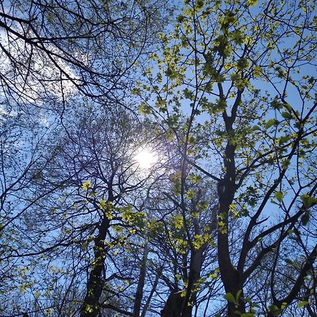 Celorocni Glamping V Pohodlnem Domecku Βίλα Výprachtice Εξωτερικό φωτογραφία