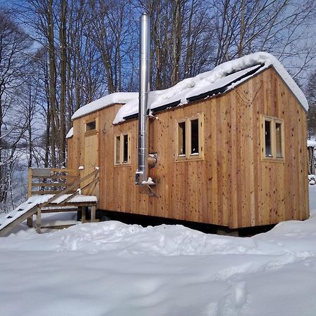 Celorocni Glamping V Pohodlnem Domecku Βίλα Výprachtice Εξωτερικό φωτογραφία