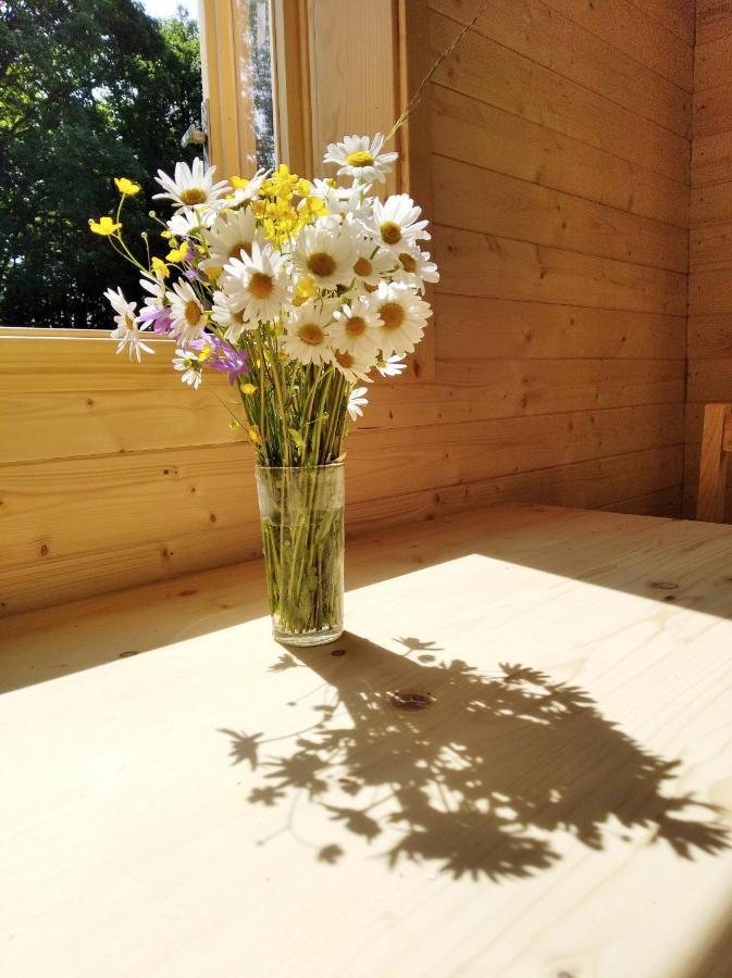 Celorocni Glamping V Pohodlnem Domecku Βίλα Výprachtice Εξωτερικό φωτογραφία